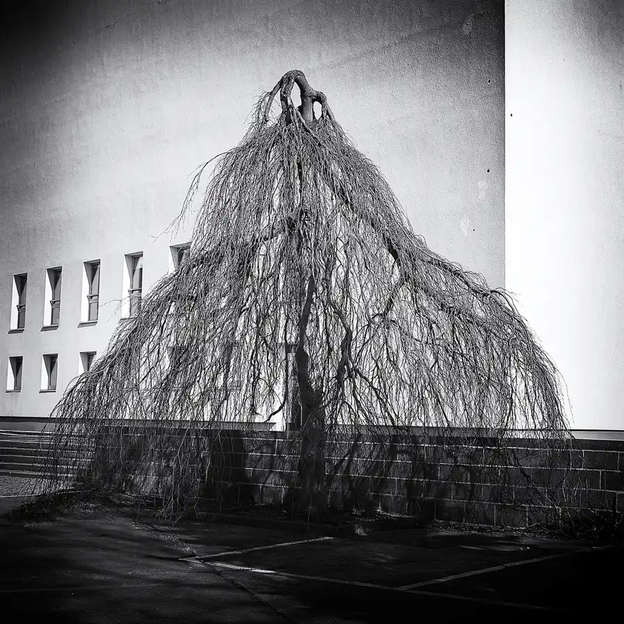 070 | 2022 | Berlin | Sportforum | © carsten riede fotografie