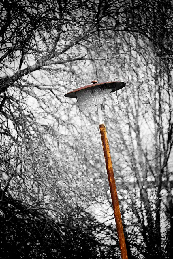 077 | 2022 | Berlin | Sportforum | © carsten riede fotografie