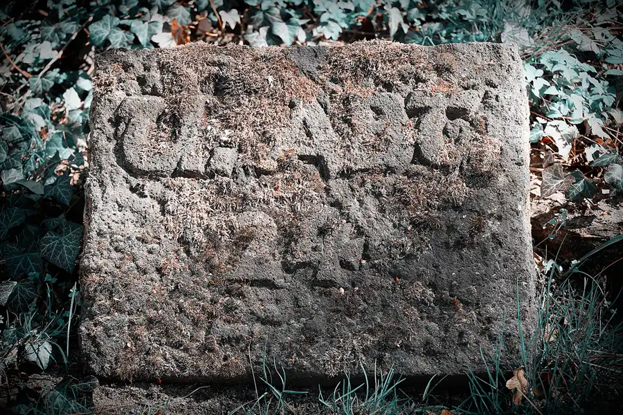 002 | 2022 | Berlin | Zentralfriedhof Friedrichsfelde | © carsten riede fotografie