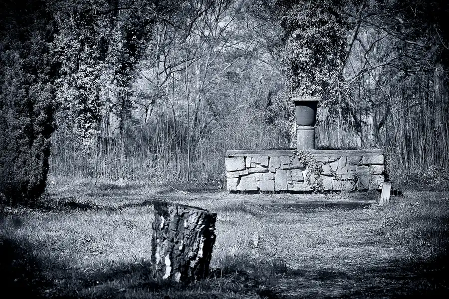 016 | 2022 | Berlin | Zentralfriedhof Friedrichsfelde | © carsten riede fotografie