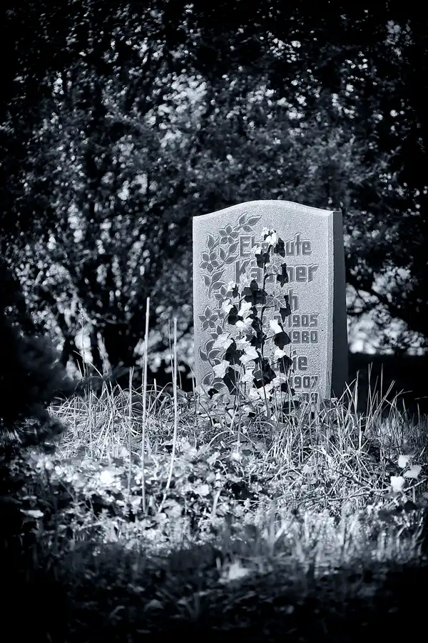 017 | 2022 | Berlin | Zentralfriedhof Friedrichsfelde | © carsten riede fotografie