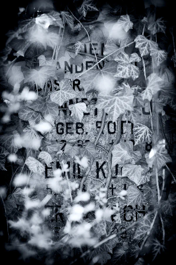 005 | 2022 | Berlin | Zentralfriedhof Friedrichsfelde | © carsten riede fotografie