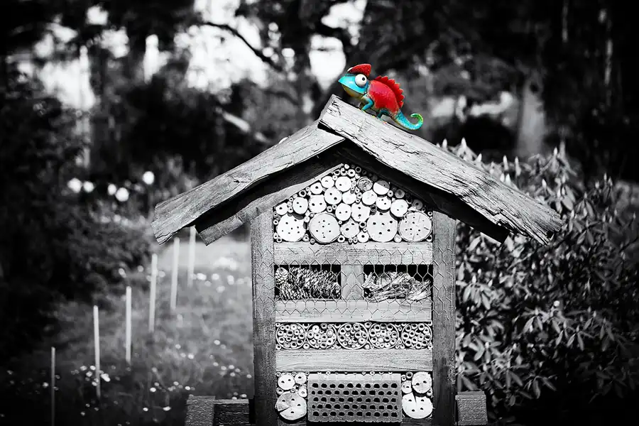 001 | 2022 | Berlin | KGA Sonnenschein | © carsten riede fotografie