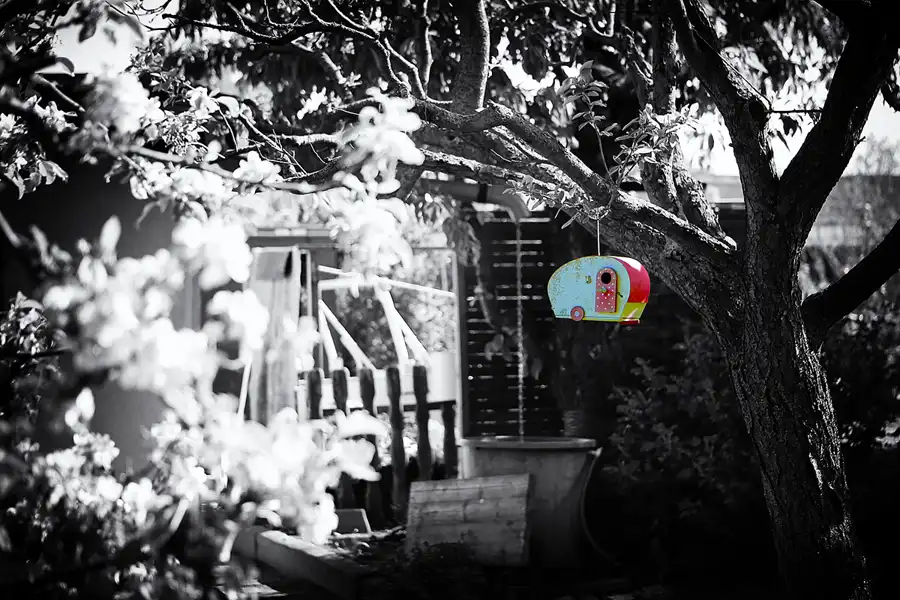 003 | 2022 | Berlin | KGA Sonnenschein | © carsten riede fotografie