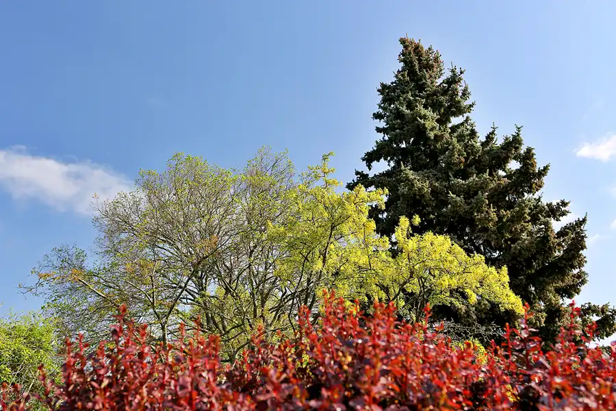012 | 2022 | Berlin | Obersee-Orankesee-Park | © carsten riede fotografie