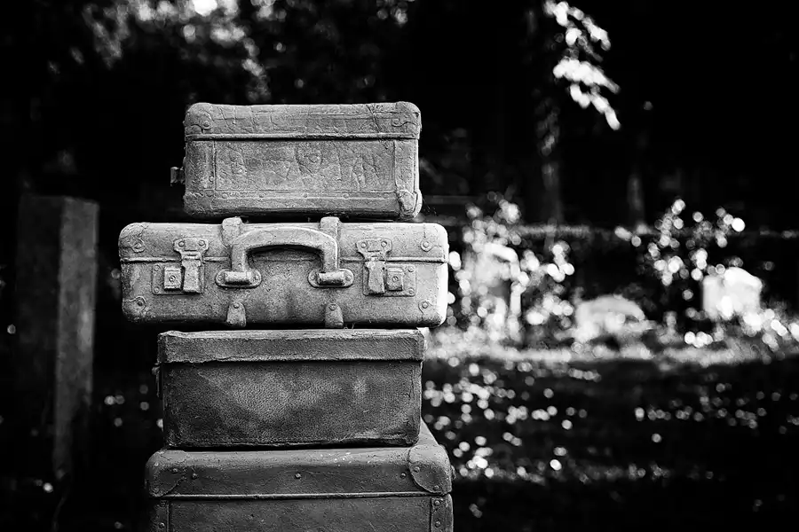 018 | 2022 | Berlin | Alter St.-Matthäus-Kirchhof | © carsten riede fotografie