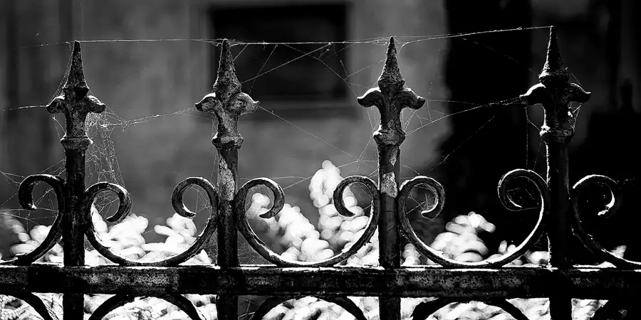 076 | 2022 | Berlin | Alter St.-Matthäus-Kirchhof | © carsten riede fotografie