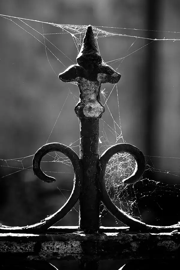 077 | 2022 | Berlin | Alter St.-Matthäus-Kirchhof | © carsten riede fotografie