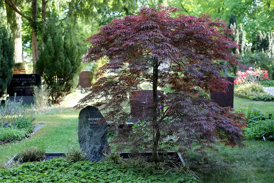 084 | 2022 | Berlin | Alter St.-Matthäus-Kirchhof | © carsten riede fotografie