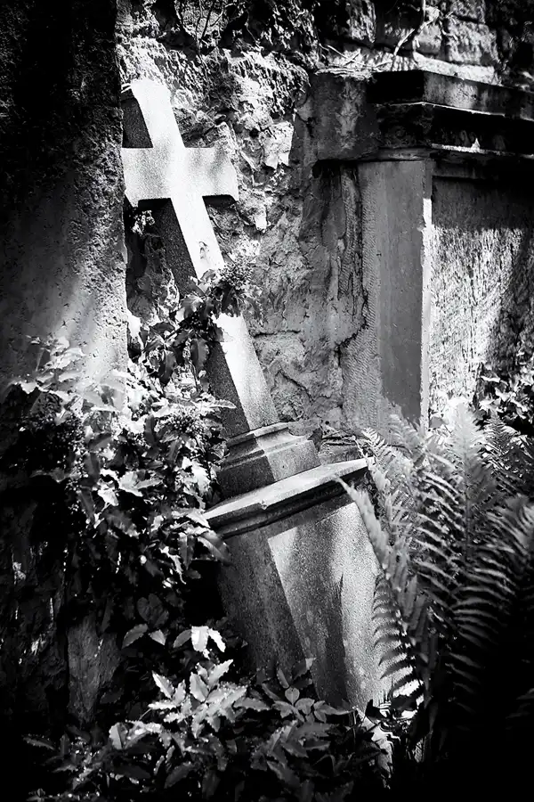061 | 2022 | Dresden | Alter Annenfriedhof | © carsten riede fotografie
