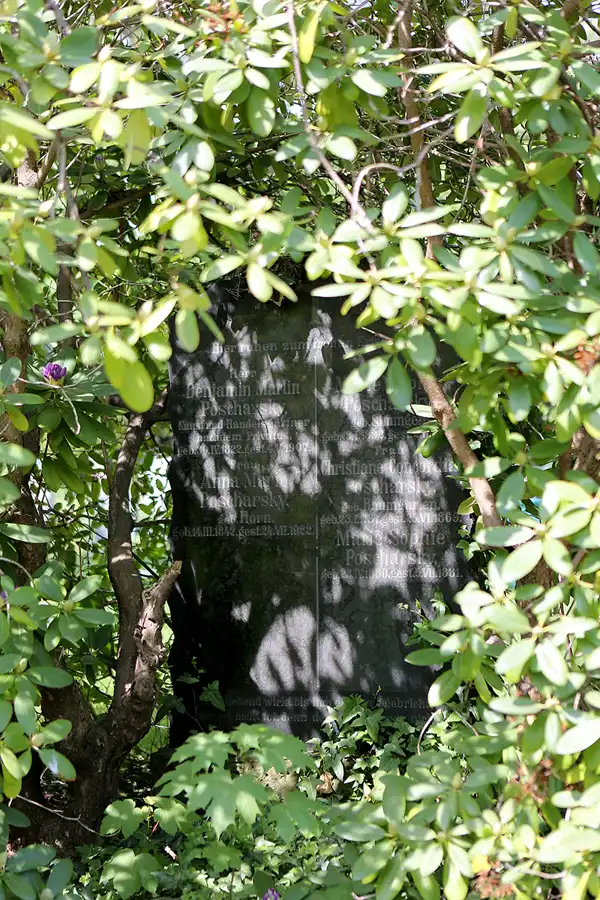 065 | 2022 | Dresden | Alter Annenfriedhof | © carsten riede fotografie