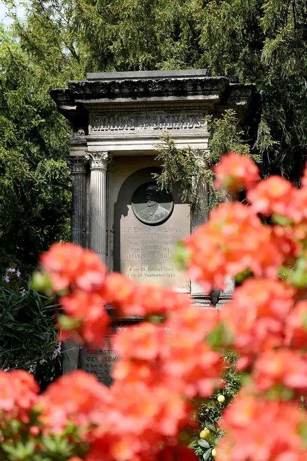 069 | 2022 | Dresden | Alter Annenfriedhof | © carsten riede fotografie