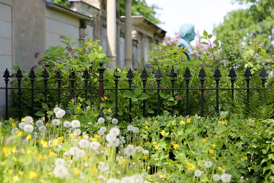 079 | 2022 | Dresden | Alter Annenfriedhof | © carsten riede fotografie
