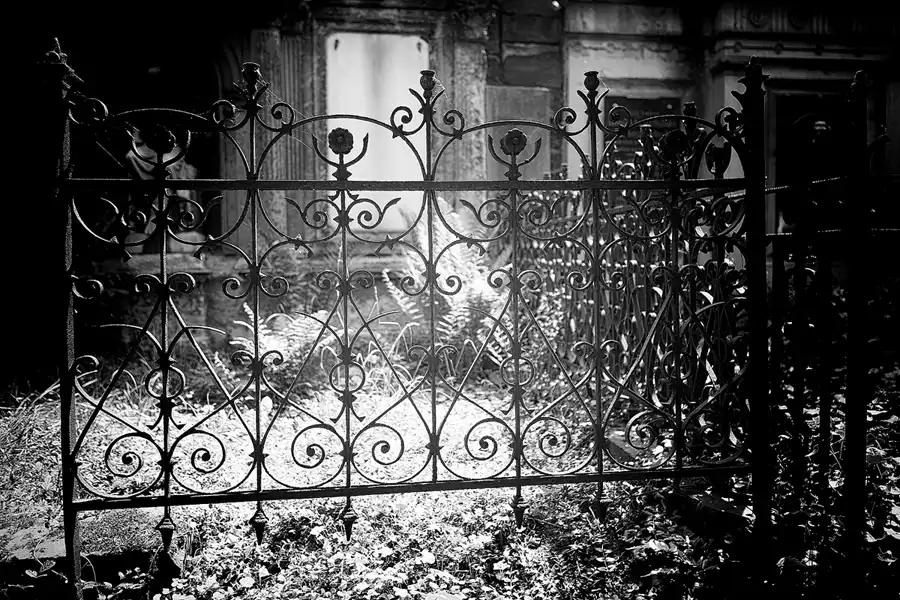 086 | 2022 | Dresden | Alter Annenfriedhof | © carsten riede fotografie