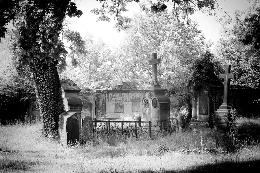 024 | 2022 | Dresden | Alter Annenfriedhof | © carsten riede fotografie