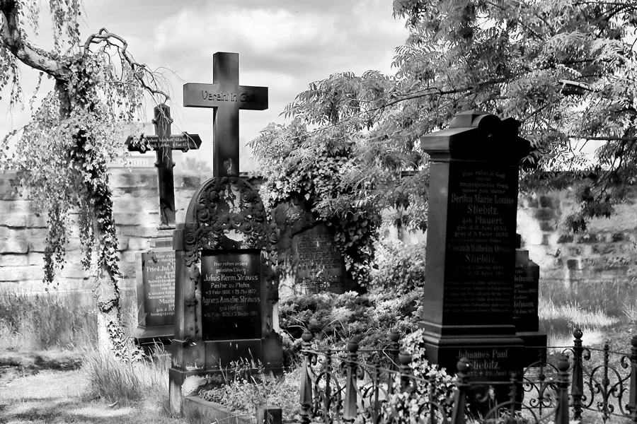 042 | 2022 | Dresden | Alter Annenfriedhof | © carsten riede fotografie
