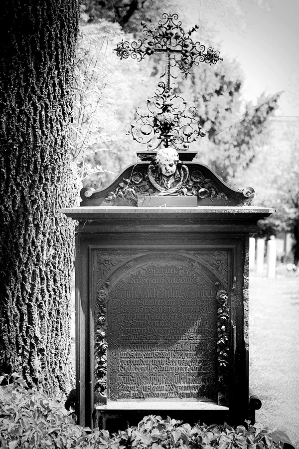 067 | 2022 | Dresden | Alter Annenfriedhof | © carsten riede fotografie