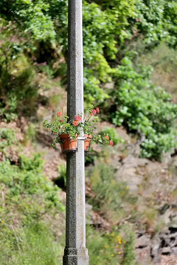 039 | 2022 | Seifersdorf | Bahnhof – Weisseritztalbahn | © carsten riede fotografie
