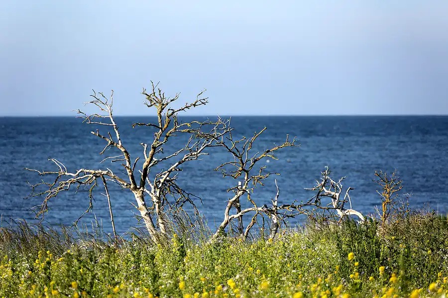 005 | 2022 | Alt Reddevitz | © carsten riede fotografie