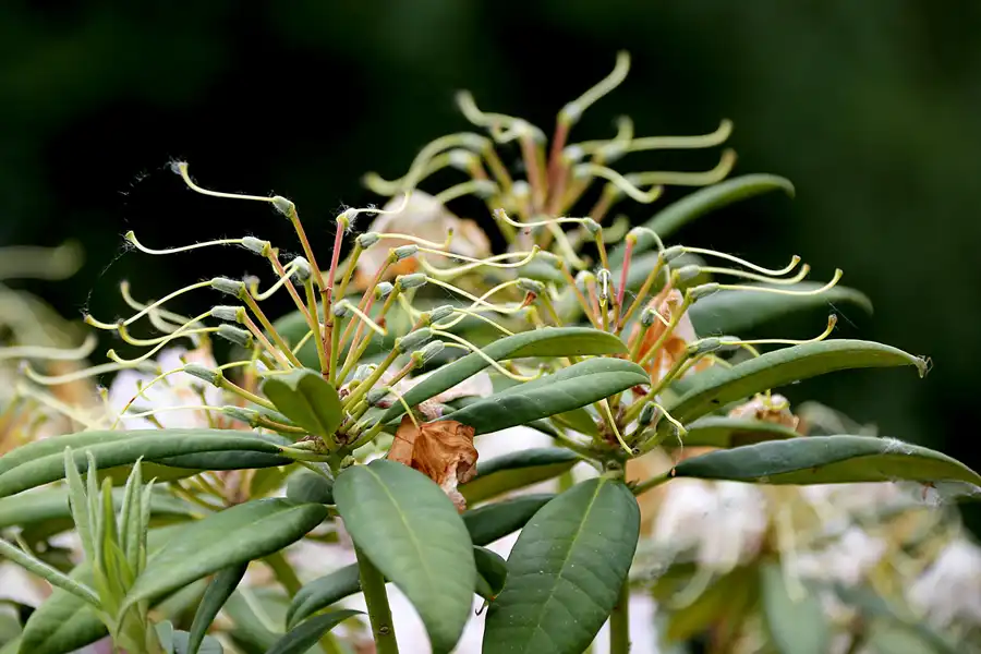 051 | 2022 | Binz | Park der Sinne | © carsten riede fotografie