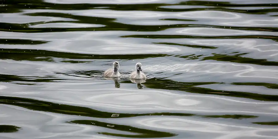 052 | 2022 | Binz | Park der Sinne | © carsten riede fotografie