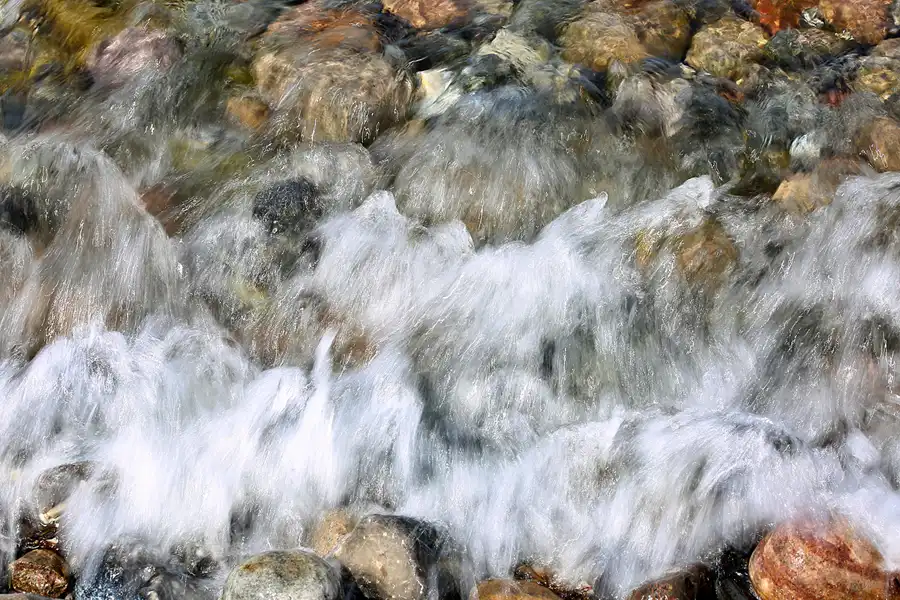 064 | 2022 | Bug | © carsten riede fotografie