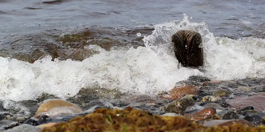 066 | 2022 | Bug | © carsten riede fotografie