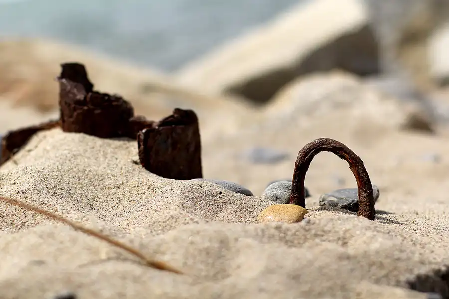 072 | 2022 | Bug | © carsten riede fotografie