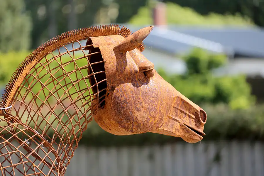 084 | 2022 | Glowe | © carsten riede fotografie