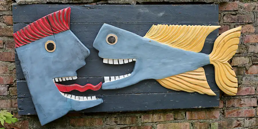 100 | 2022 | Kap Arkona | © carsten riede fotografie