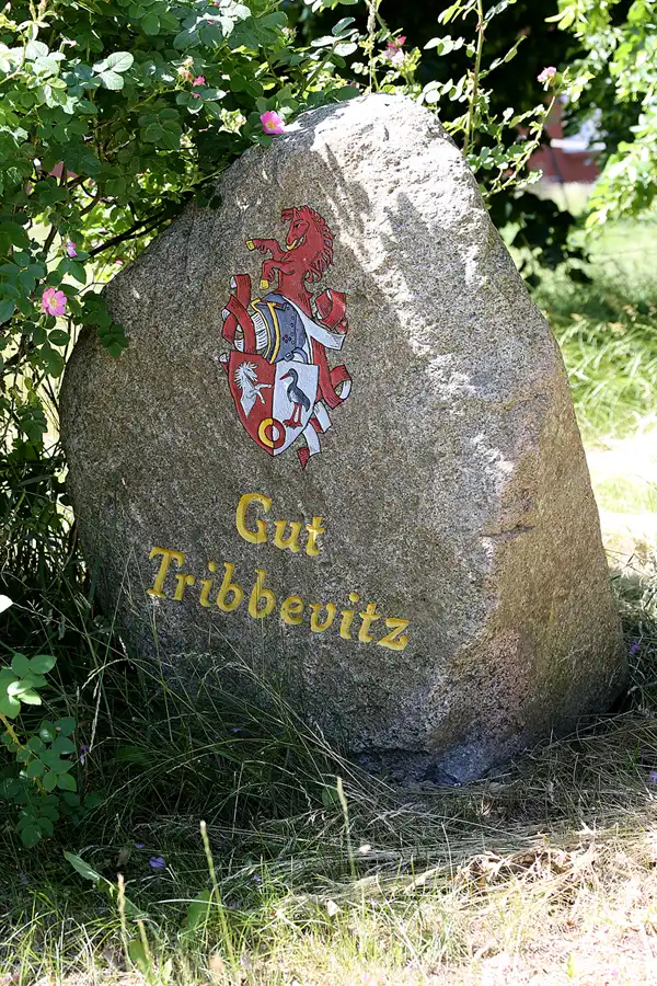 187 | 2022 | Tribbevitz | Gut Tribbevitz | © carsten riede fotografie