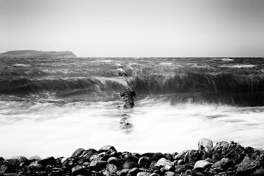 008 | 2022 | Bug | © carsten riede fotografie