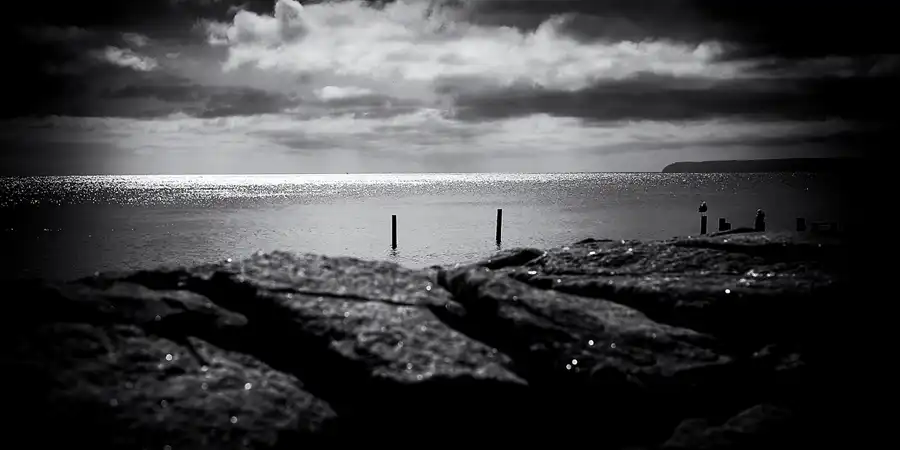 016 | 2022 | Vitt | © carsten riede fotografie