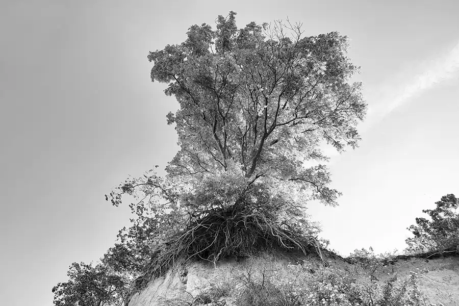 018 | 2022 | Alt Reddevitz | Reddevitzer Höft | © carsten riede fotografie
