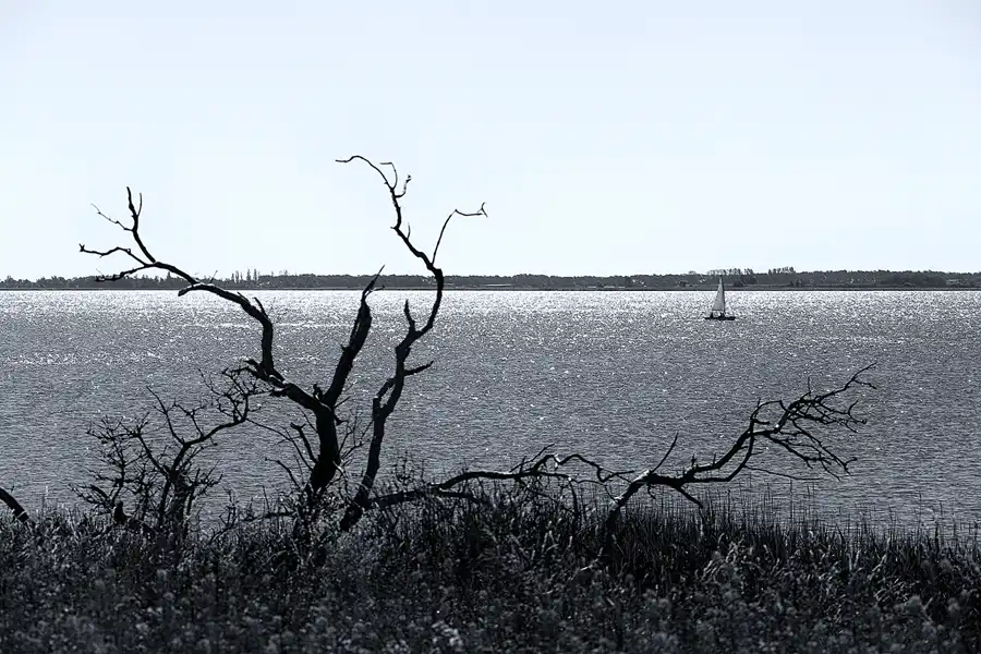 022 | 2022 | Alt Reddevitz | © carsten riede fotografie