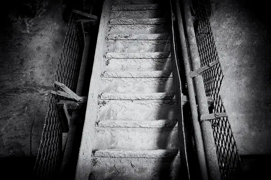 032 | 2022 | Mildenberg | Ziegeleipark | © carsten riede fotografie