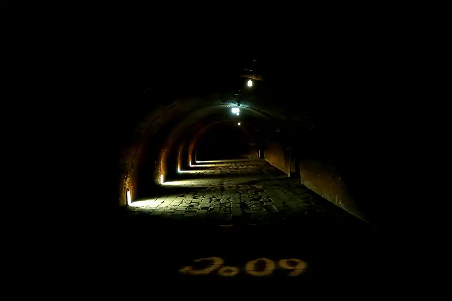 035 | 2022 | Mildenberg | Ziegeleipark | © carsten riede fotografie