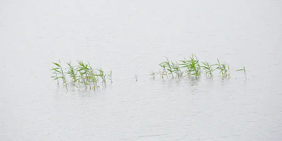 003 | 2022 | Grossräschen | IBA-Terrassen – Grossräschener See | © carsten riede fotografie
