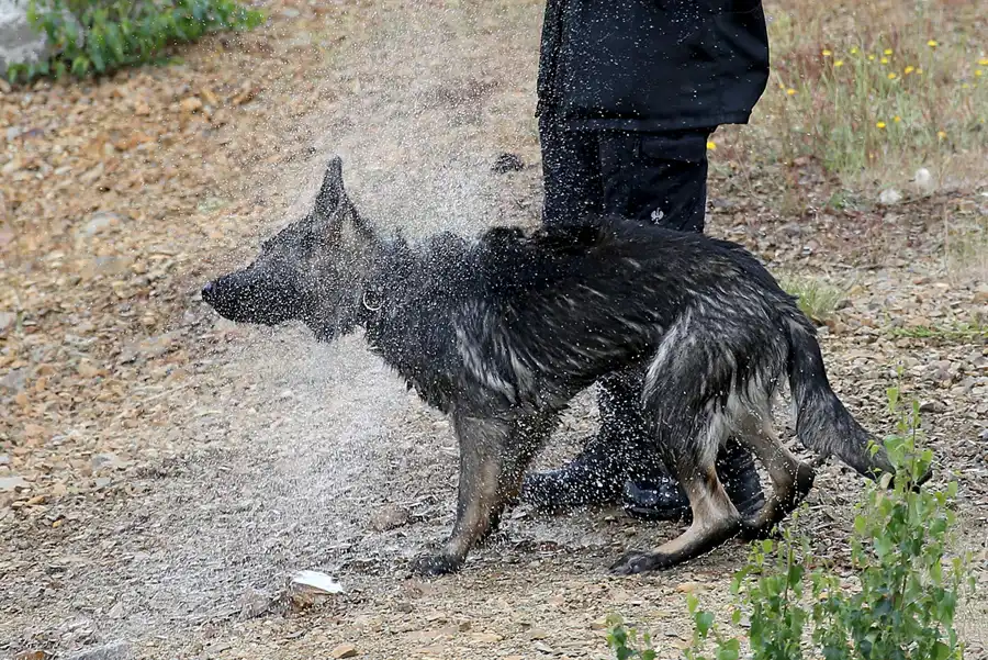 010 | 2022 | Sornoer Kanal | © carsten riede fotografie