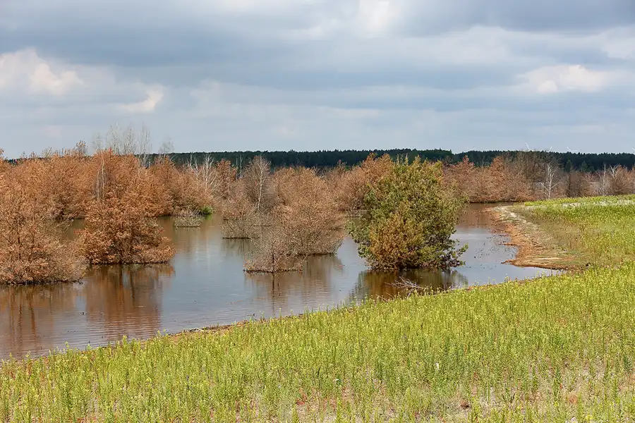 014 | 2022 | Ablauf Koschener Kanal | © carsten riede fotografie