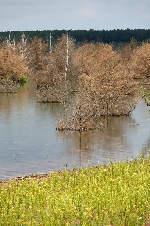 015 | 2022 | Ablauf Koschener Kanal | © carsten riede fotografie