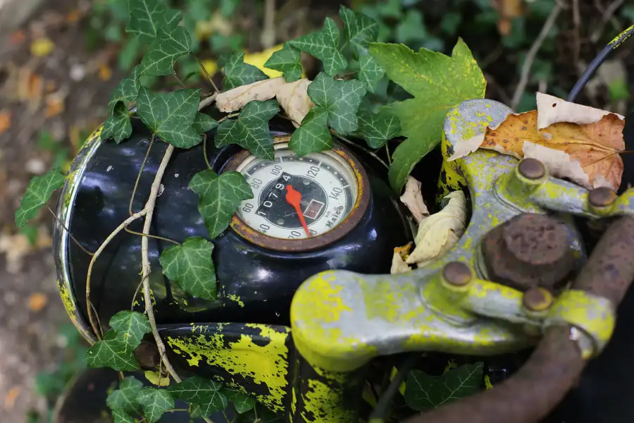 051 | 2022 | Erkrath | Auto-Skulpturen-Park | © carsten riede fotografie