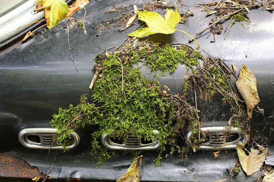 084 | 2022 | Erkrath | Auto-Skulpturen-Park | © carsten riede fotografie