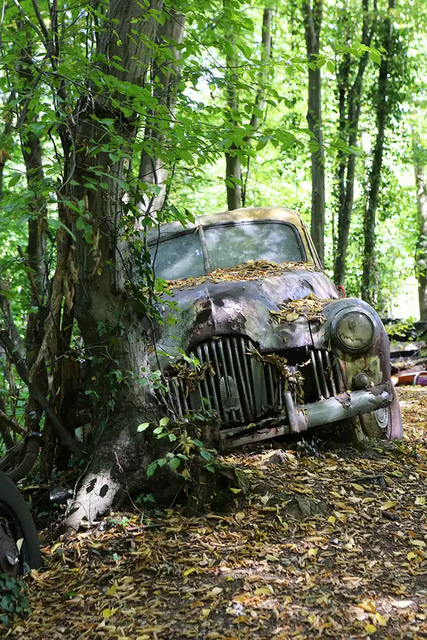 116 | 2022 | Erkrath | Auto-Skulpturen-Park | © carsten riede fotografie