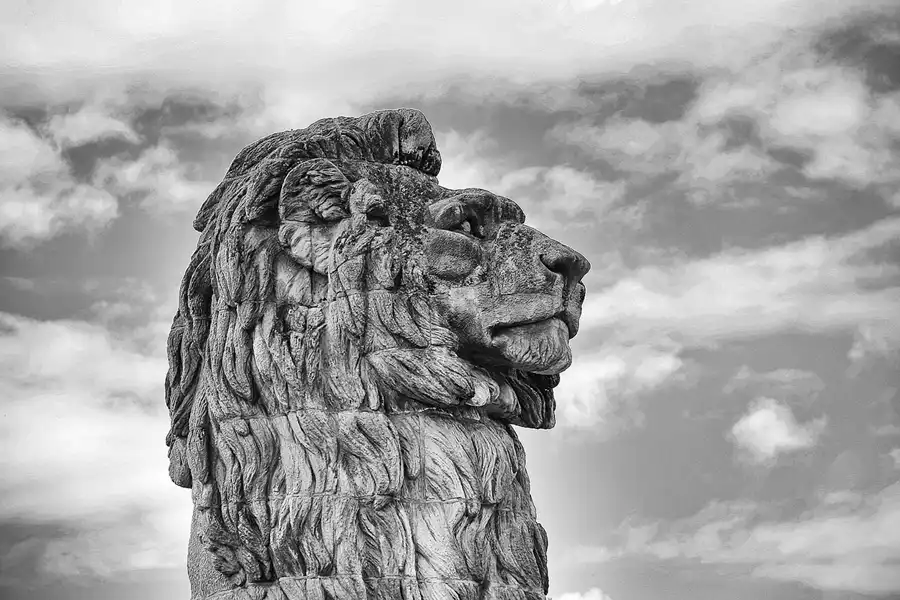 008 | 2022 | Gileppe-Talsperre | © carsten riede fotografie