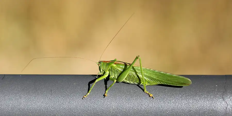 021 | 2022 | Vogelsang IP | © carsten riede fotografie