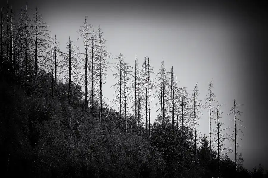 103 | 2022 | Einruhr-Urftstaumauer-Einruhr | Obersee-Rundfahrt | © carsten riede fotografie