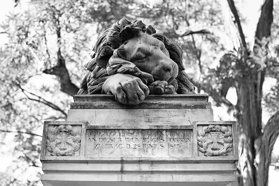 017 | 2022 | Berlin | Invalidenfriedhof | © carsten riede fotografie