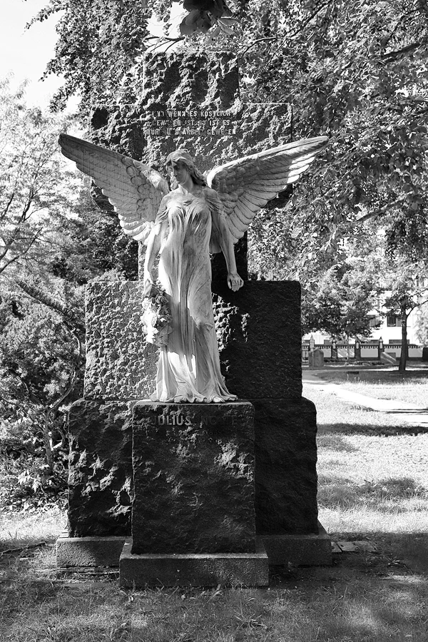 009 | 2022 | Berlin | Invalidenfriedhof | © carsten riede fotografie