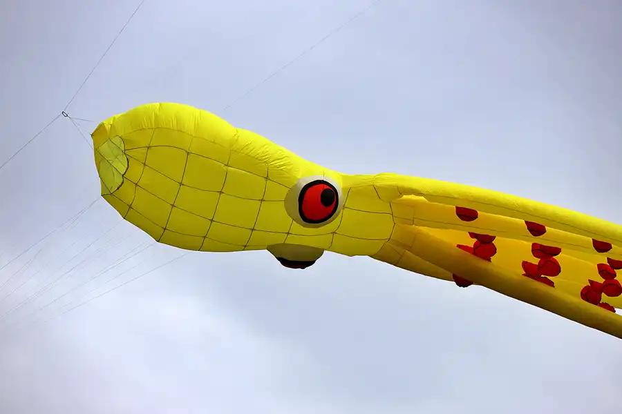 010 | 2022 | Berlin | Festival der Riesendrachen | © carsten riede fotografie